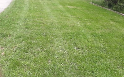 Photo of Crystal A.'s yard after getting landscaping in Fredonia, WI