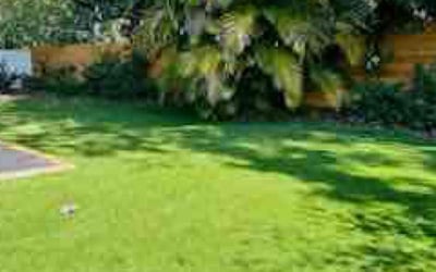 Photo of Jennifer W.'s yard after getting landscaping in Gotha, FL