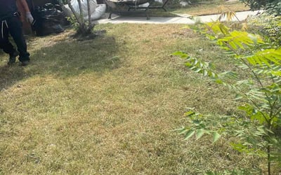 Photo of Ken D.'s yard after getting landscaping in Northridge, CA
