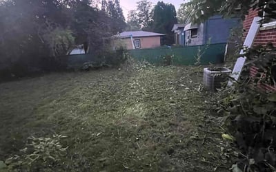 Photo of Laurie A.'s yard after getting landscaping in Milford, MI