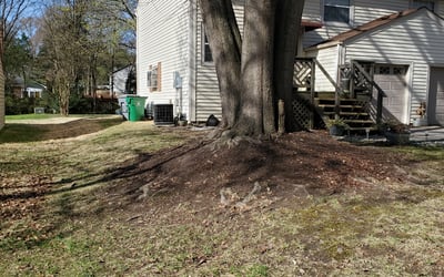 Photo of Sandra G.'s yard after getting lawn care in Mount Pleasant, NC