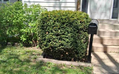 Photo of Tim W.'s yard after getting landscaping in Madison, WI