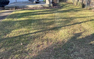 Photo of Tracey A.'s yard after getting tree care in Fort Mill, SC