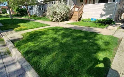 Photo of Emma W.'s yard after getting lawn care in Oak Park, IL
