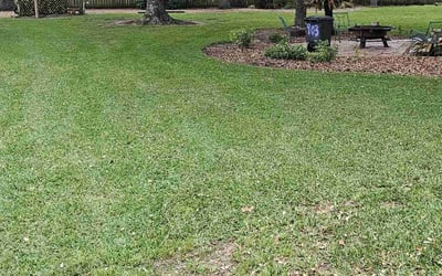 Photo of Barry D.'s yard after getting lawn care in Cape Coral, FL