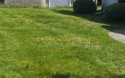 Photo of Katherine F.'s yard after getting lawn care in Madison Heights, MI