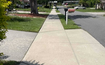 Photo of Tierra H.'s yard after getting lawn care in Lithia, FL