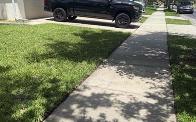 Photo of Michele M.'s yard after getting lawn care in Odessa, FL