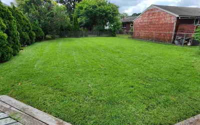 Photo of Kristi B.'s yard after getting lawn care in Smithfield, NC