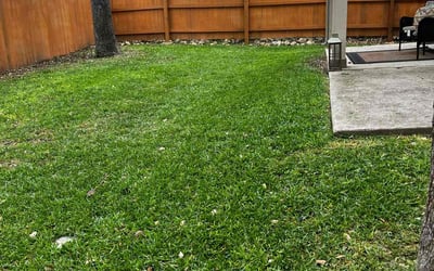 Photo of Donna W.'s yard after getting lawn care in Montgomery, TX