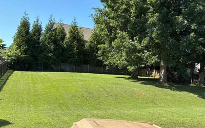 Photo of Roxie S.'s yard after getting lawn care in Napa, CA