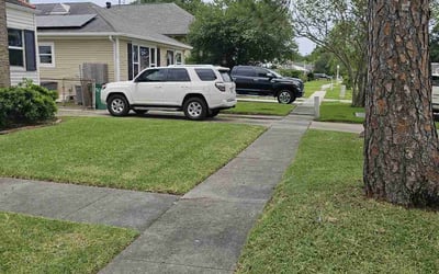 Photo of Chayson R.'s yard after getting lawn care in Rayne, LA