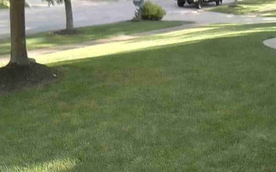 Photo of Michele B.'s yard after getting lawn care in Laurelville, OH