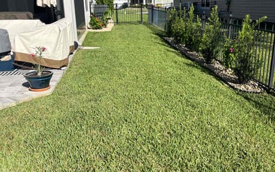 Photo of Nancy S.'s yard after getting lawn care in Latrobe, PA