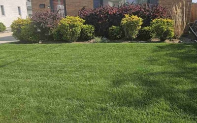 Photo of Margaret D.'s yard after getting lawn care in Burlington, NJ