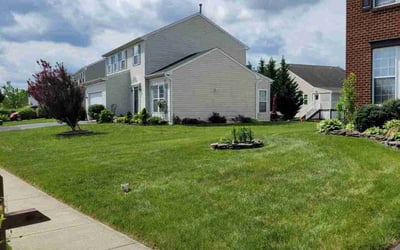 Photo of Carla R.'s yard after getting lawn care in Fresno, TX