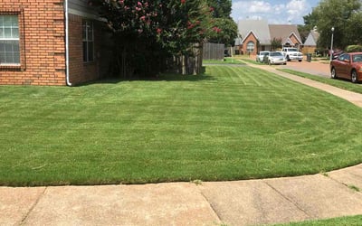 Photo of jason m.'s yard after getting lawn care in West Memphis, AR