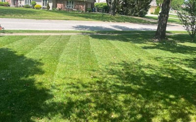 Photo of Carleen T.'s yard after getting lawn care in Carmel, NY