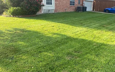 Photo of Almicia D.'s yard after getting lawn care in DeSoto, TX