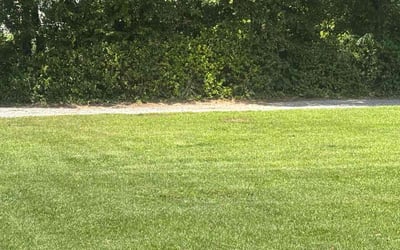 Photo of Rajeswari P.'s yard after getting lawn care in Palatine, IL