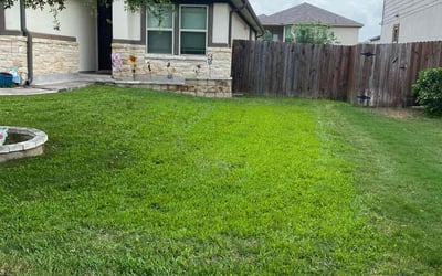 Photo of Nathan L.'s yard after getting lawn care in Stone Mountain, GA