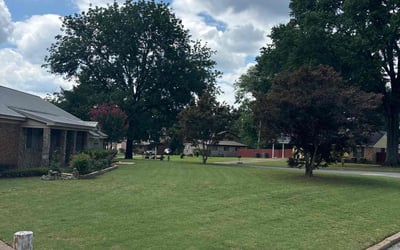 Photo of Udaya N.'s yard after getting lawn care in San Antonio, TX