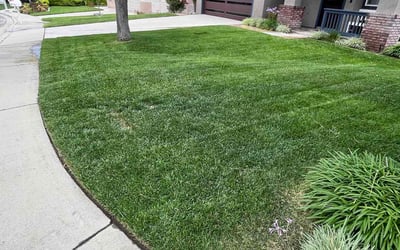 Photo of Jane S.'s yard after getting lawn care in Fontana, CA