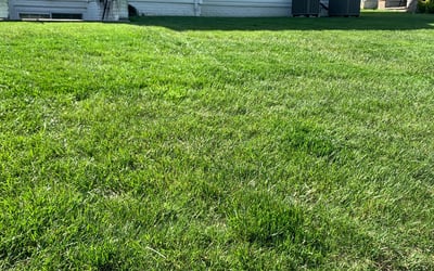 Photo of Tajuana P.'s yard after getting lawn care in Lorton, VA