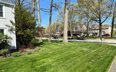 Photo of Sarah B.'s yard after getting lawn care in Bay Village, OH