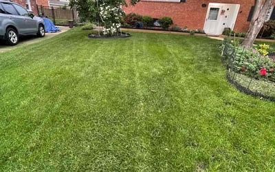 Photo of Lisa L.'s yard after getting lawn care in Arlington, VA