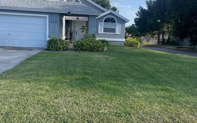 Photo of Doug P.'s yard after getting lawn care in New Hyde Park, NY
