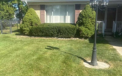 Photo of Nancy E.'s yard after getting lawn care in Plymouth, MI