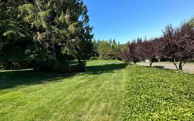 Photo of Haixia W.'s yard after getting lawn care in Snohomish, WA