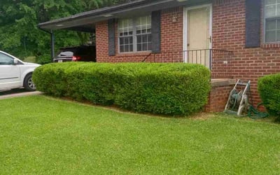 Photo of Barbara S.'s yard after getting lawn care in Stafford, VA