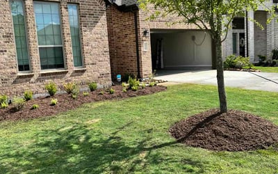 Photo of Anita B.'s yard after getting lawn care in Somerville, NJ