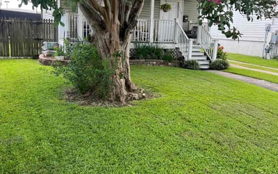 Photo of Brenda C.'s yard after getting lawn care in Rochester, NY