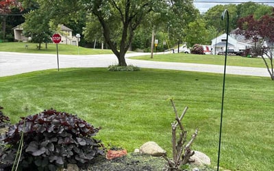 Photo of Jamie H.'s yard after getting lawn care in North Richland Hills, TX