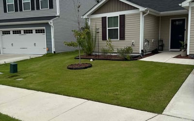 Photo of Michelle W.'s yard after getting lawn care in Novato, CA