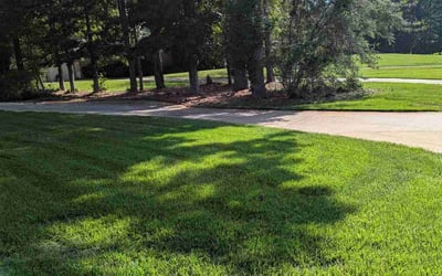 Photo of Zinara H.'s yard after getting lawn care in Fayetteville, GA