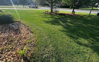 Photo of Glen B.'s yard after getting lawn care in Cookeville, TN