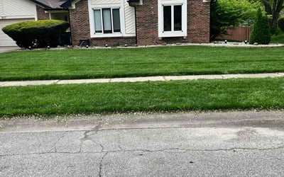 Photo of Sonia G.'s yard after getting lawn care in Mobile, AL
