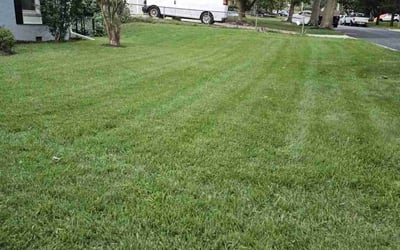 Photo of JS L.'s yard after getting lawn care in Oxon Hill, MD