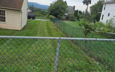 Photo of Jason T.'s yard after getting lawn care in La Grange, KY