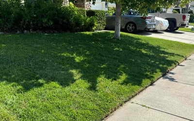 Photo of David H.'s yard after getting lawn care in Patterson, CA