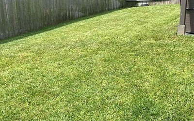 Photo of Travis W.'s yard after getting lawn care in Hampton, VA