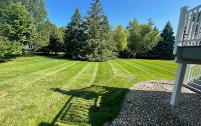 Photo of Derrick W.'s yard after getting lawn care in Greensboro, NC
