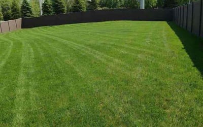 Photo of Erica M.'s yard after getting lawn care in Papillion, NE