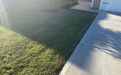 Photo of Simone M.'s yard after getting lawn care in Brown Deer, WI