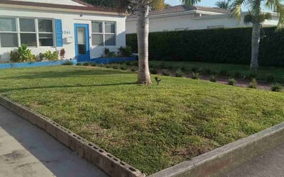 Photo of Donna Z.'s yard after getting lawn care in Miami Beach, FL
