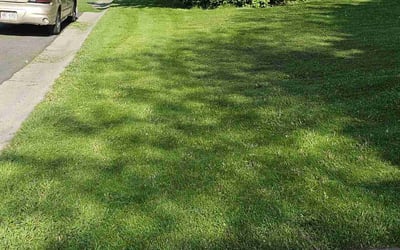 Photo of Arlinda W.'s yard after getting lawn care in Brown Deer, WI